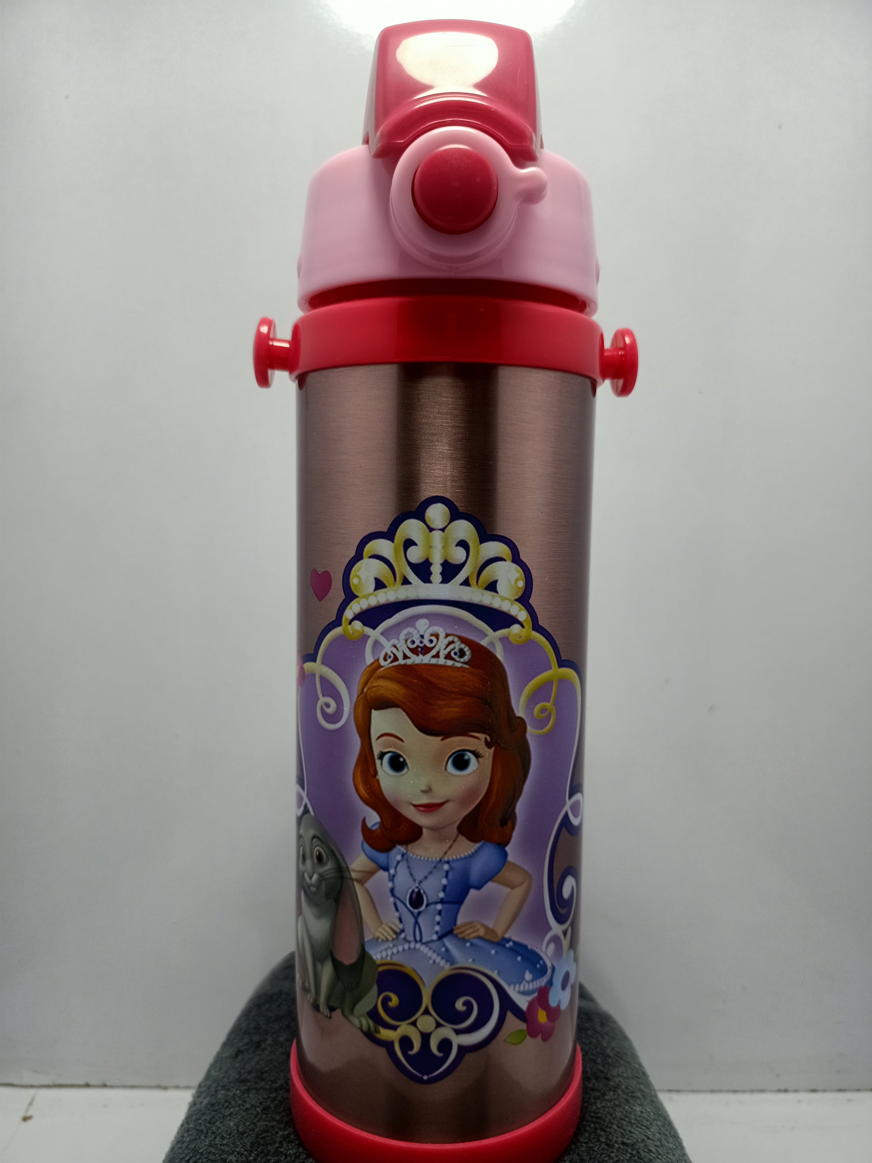 Cartoon Cars Stainless Steel Water Bottle for Kids – 500ml